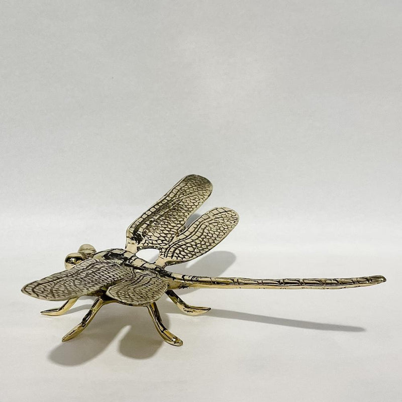 Bronze Dragonfly 