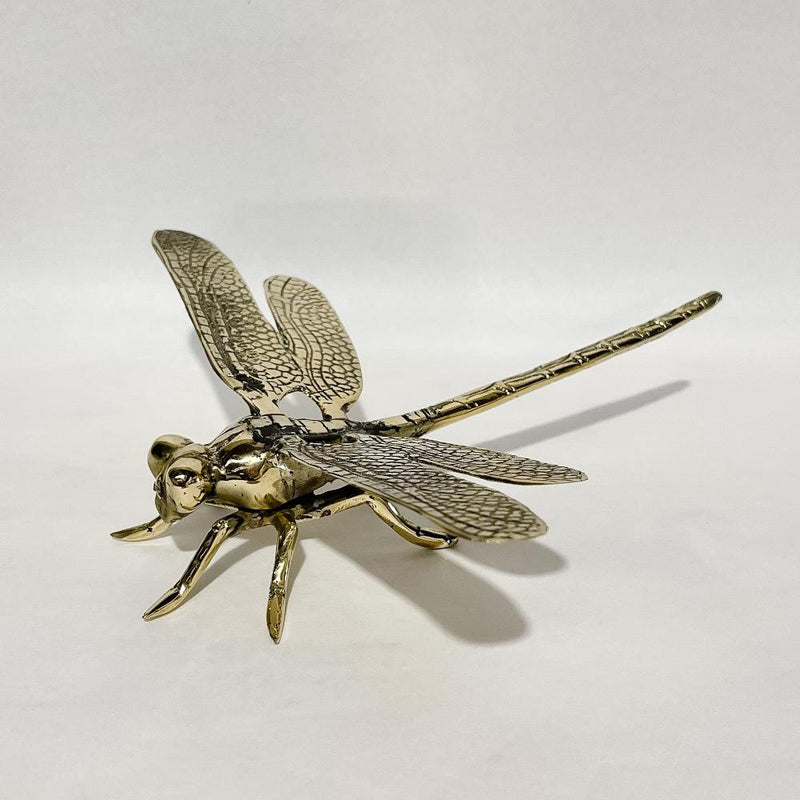 Bronze Dragonfly 