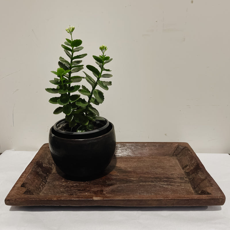 Teak Rectangular Tray