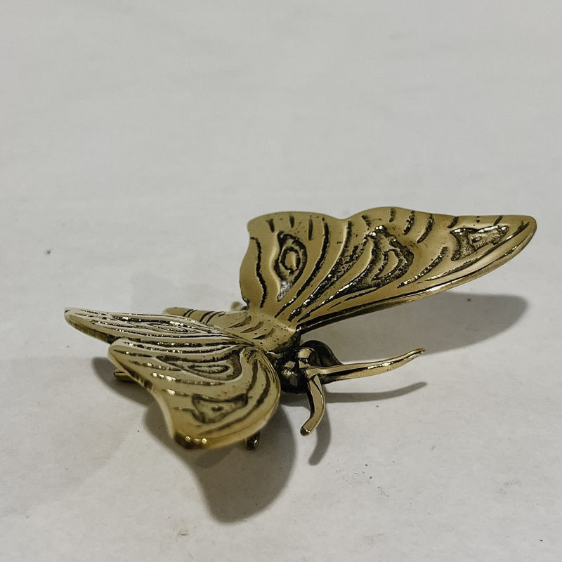 Bronze Gold Butterfly