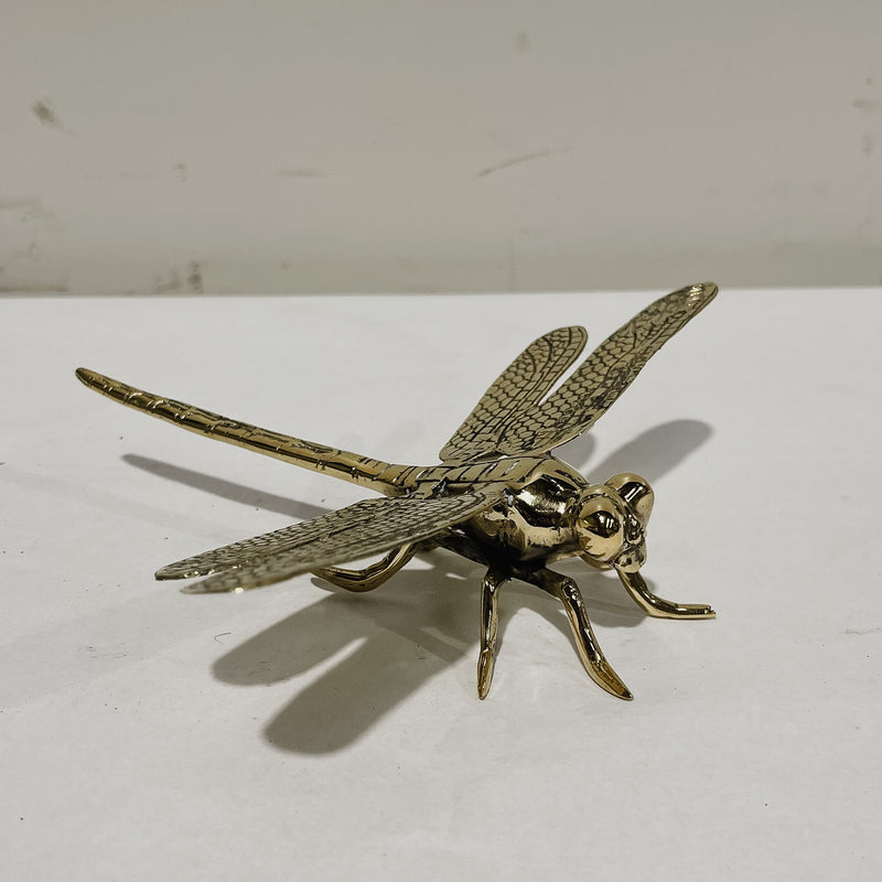 Bronze Dragonfly